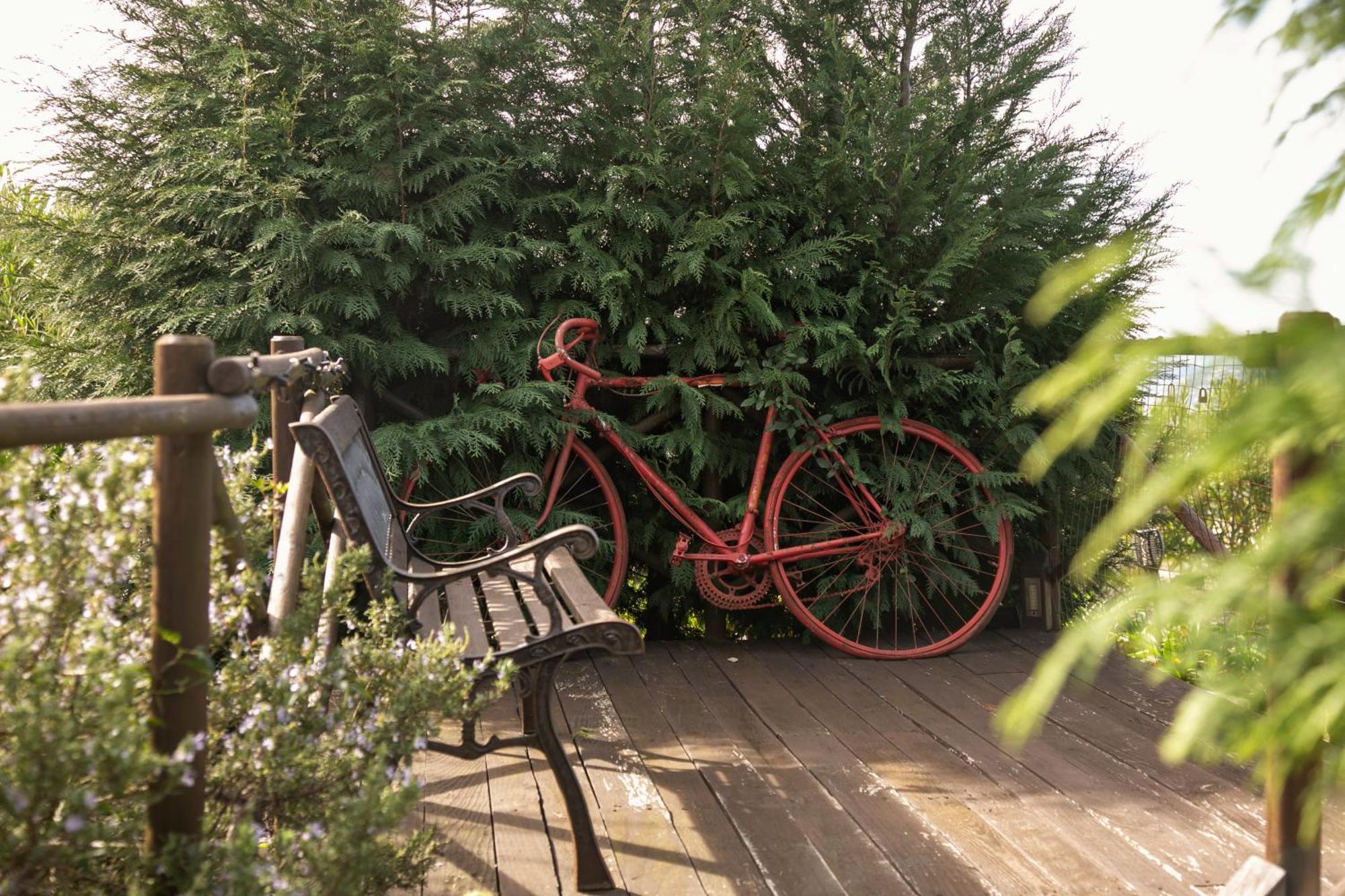 Bed and Breakfast Casas Da Gralha Turquel Екстер'єр фото