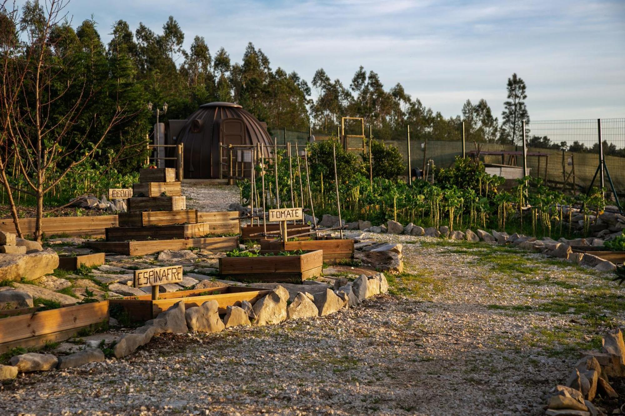 Bed and Breakfast Casas Da Gralha Turquel Екстер'єр фото